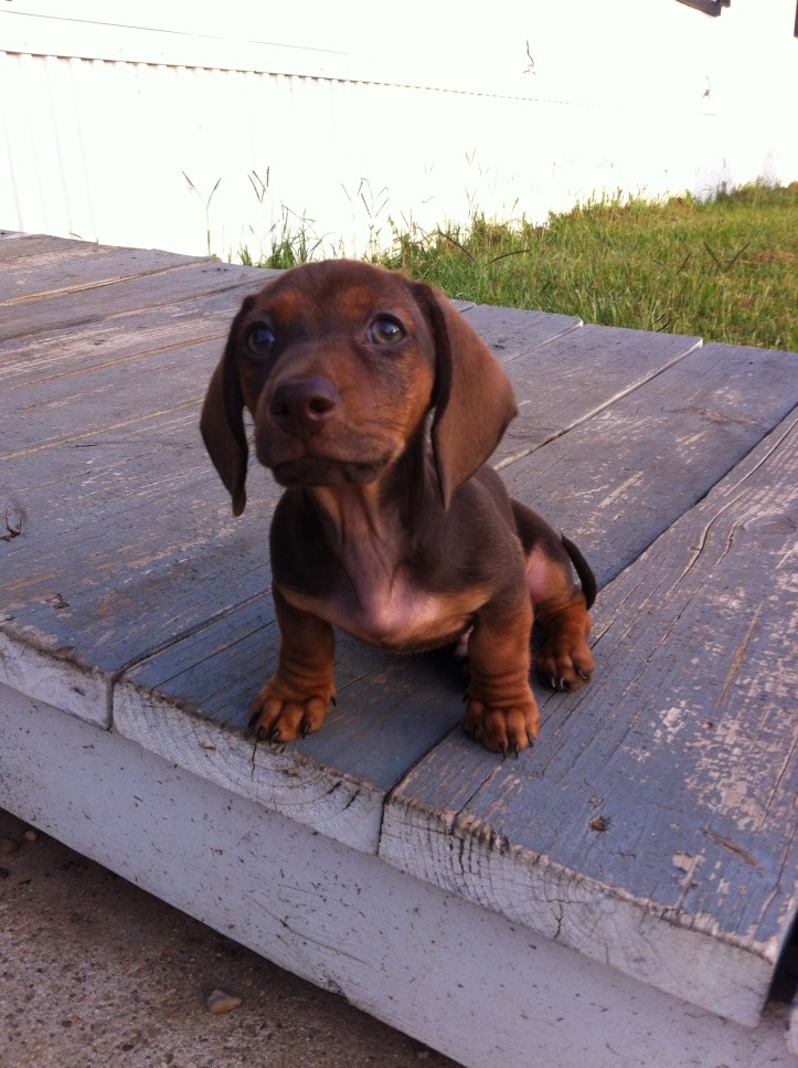 iPhone 2012-15 003.JPG