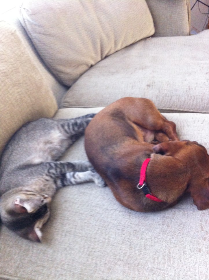 iPhone 2012-15 060.JPG