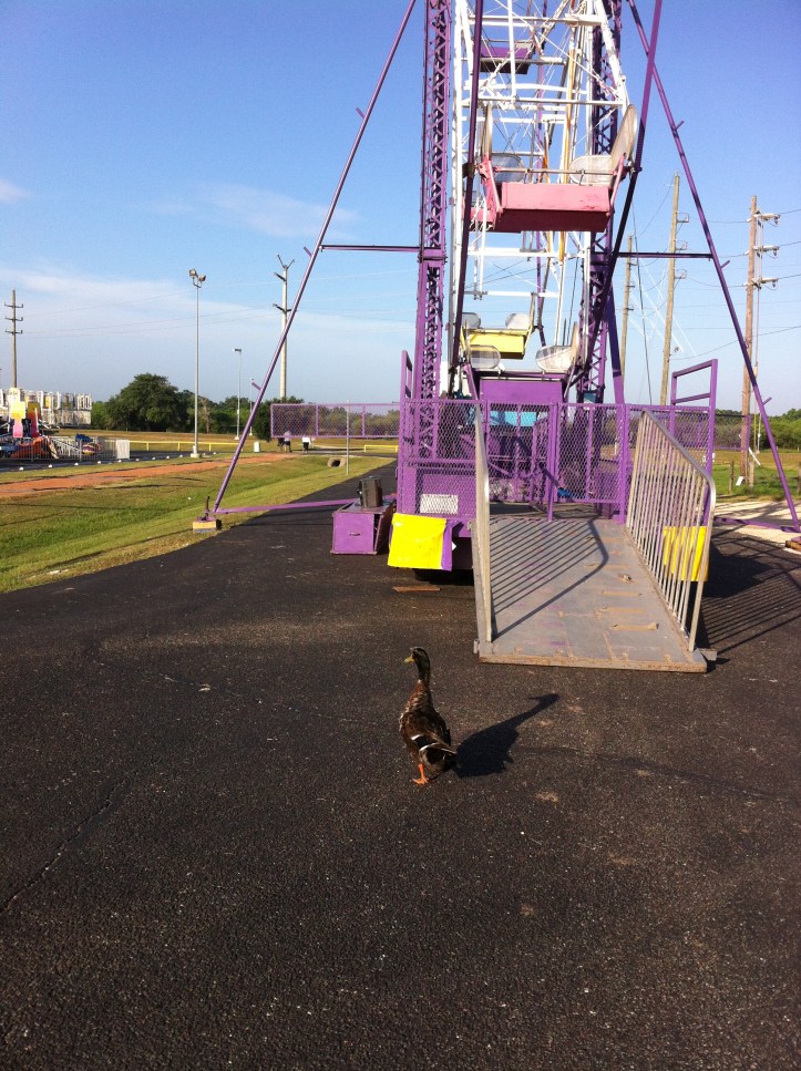 iPhone 2012-15 233.JPG