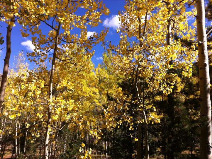 Colorado vacation 107.JPG