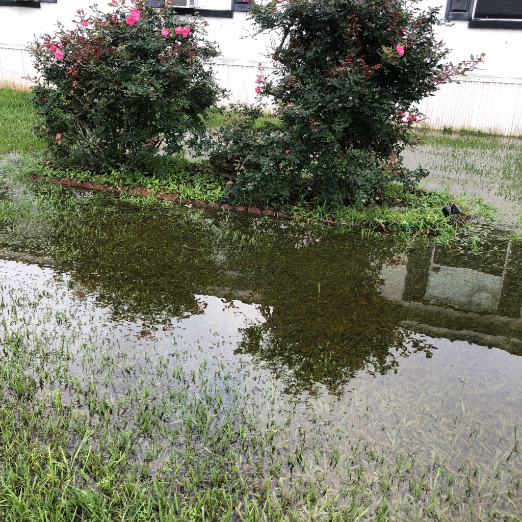 Front yard with large puddle 