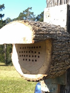 Mason bee house made from a log